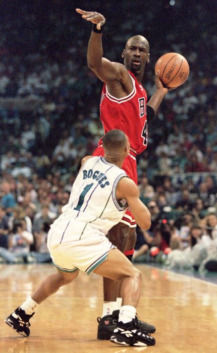 bogues 2.jpg